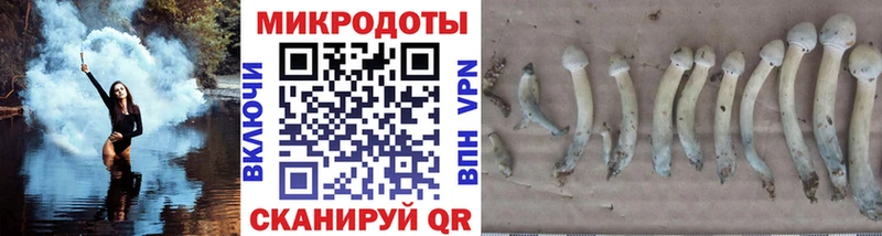 Купить закладки  Козловка  Галлюциногенные грибы GOLDEN TEACHER 