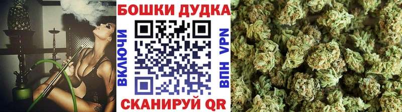 Конопля гибрид  Купить закладки  Козловка 